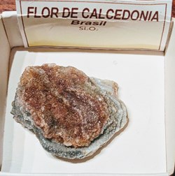 Calcédoine (fleur de)