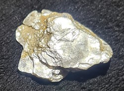 Muscovite (Argent de chat)