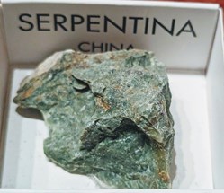 Serpentine