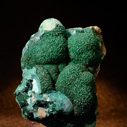 230
