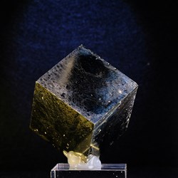 50