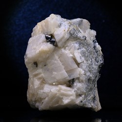 44