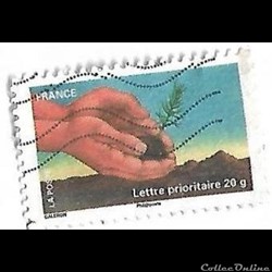 Pour la planète - fête de la terre - Galeron - Plantation d'un jeune plant d'arbre