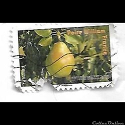 nourriture - fruits - poire william