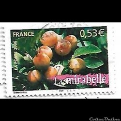 Portraits de Régions - mirabelle