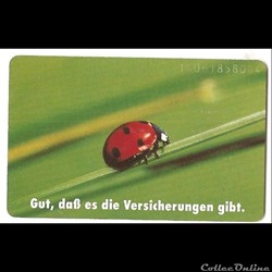 ALLEMAGNE - coccinelle