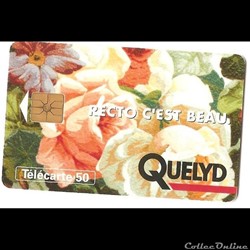 Pub - Quelyd