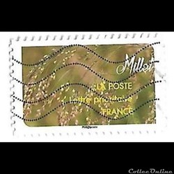 Céréales - millet