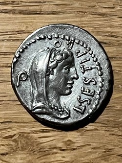 Denar des Brutus
