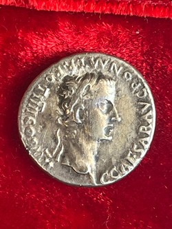 Denar des Caligula