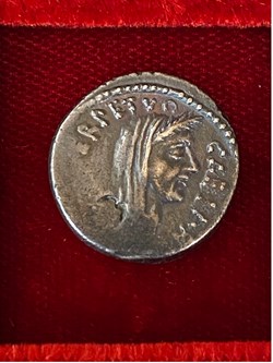 Julius Caesar - Sepullius Macer. Denar .