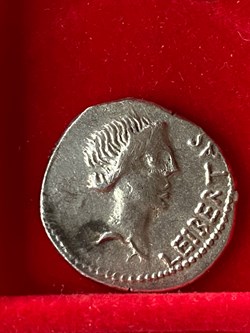 Denar des Brutus