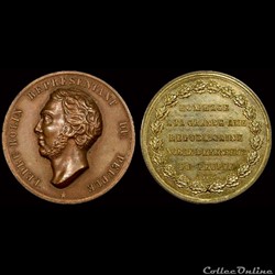 18 & 19 Avril 1848 - Premières élections pour la Constituante