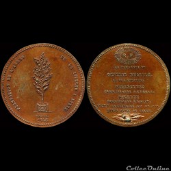 Avril 1848 - Plantation de l'arbre de la liberté (Lille)