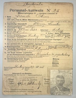 DHAM/Arch/20/0001 - Certificat d'identité
