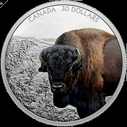 Icônes imposantes : Bison 2 onces
