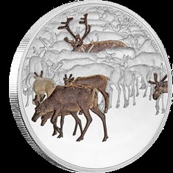 Grandes Migrations - Caribou