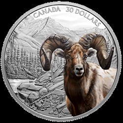 Icônes imposantes : Mouflon d'Amérique 2 onces