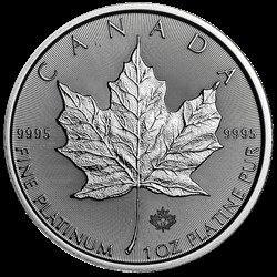 Maple Leaf 1 Once Platine