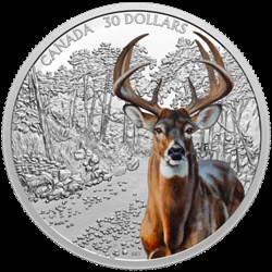 Icônes imposantes : Cerf 2 onces
