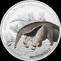 Faune du Nicaragua - Tamanoir