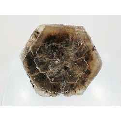 9 - Polylithionite