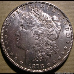 1878 Dollar - 7 Feathers
