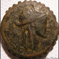 Seleukos IV Philopator 187-165 BC. - AE23 Dichalkon