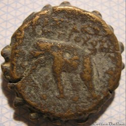 Antiochos VI Epiphanes Dionysos BC. 145-142 - Æ20