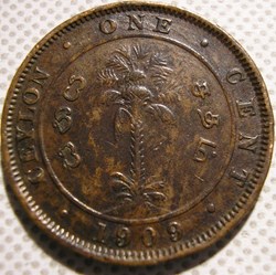 Edward VII - One Cent 1909 - Ceylon