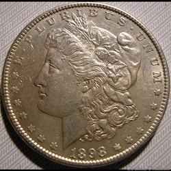 1898 Dollar