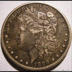 1899 New Orleans Dollar (ex.2)