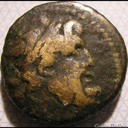 Antiocheia, Seleucis and Pieria - Dichalkos 1st century BC.