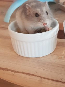 uytuytututy