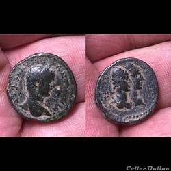 Phoenicia, Tripolis; Caracalla