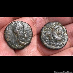 MESOPOTAMIA, Carrhae; Septimus Severus