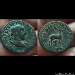 Coele-Syria. Damascus. Trebonianus Gallus