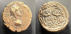 Coele-Syria. Heliopolis; Caracalla