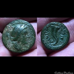 Vibo Valentia