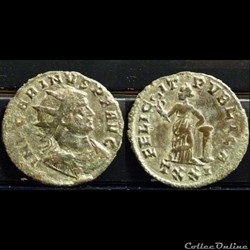 Carinus