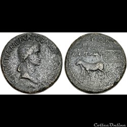 022. Agrippina Senior