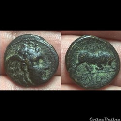 Seleukos I
