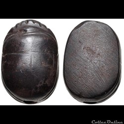 Scarab