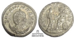 Salonina