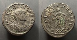 Carinus