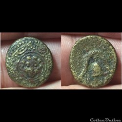 MACEDON, Salamis