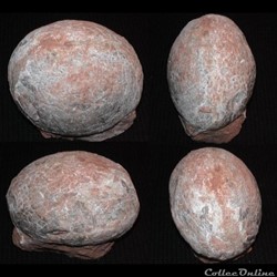 Dinosaur Egg, China