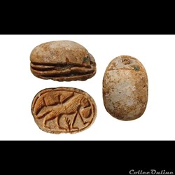 Scarab
