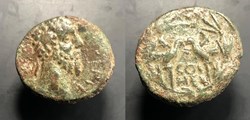 Coele-Syria. Heliopolis; Septimius Severus