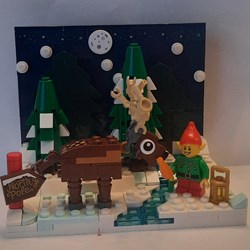 Lego 40484 - Limited edition